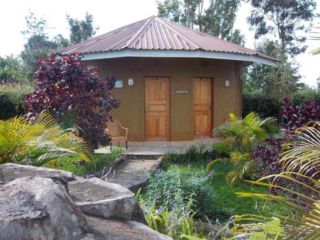 Kilimanjaro Eco Lodge Usa River Bilik gambar