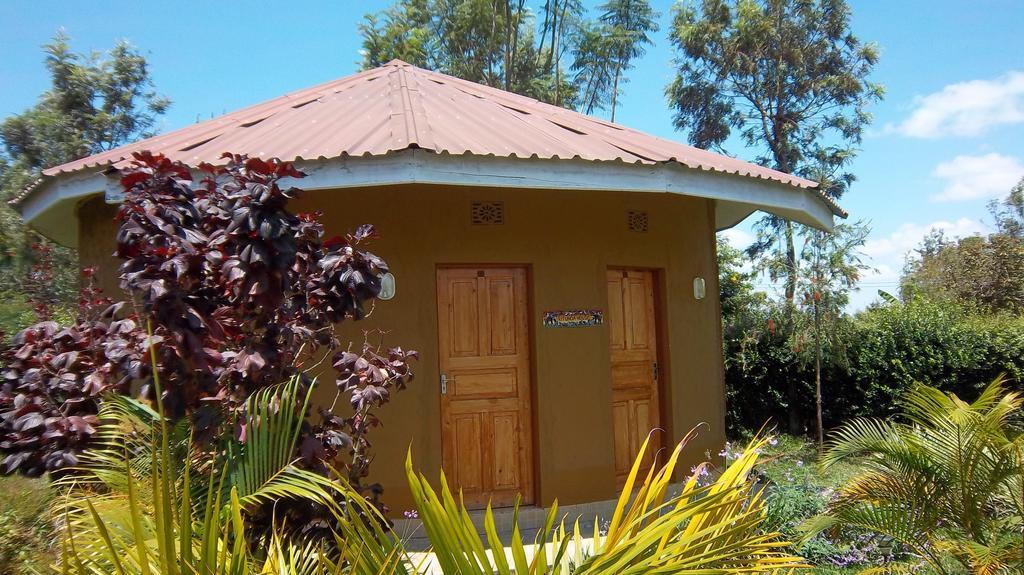 Kilimanjaro Eco Lodge Usa River Bilik gambar